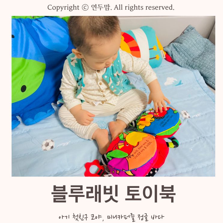 원더윅스 돌아기도 좋아하는 블루래빗 토이북, 아기첫친구 코야, 미니카퍼즐 정글 바다 원더윅스 돌아기도 좋아하는 블루래빗 토이북, 아기첫친구 코야, 미니카퍼즐 정글 바다