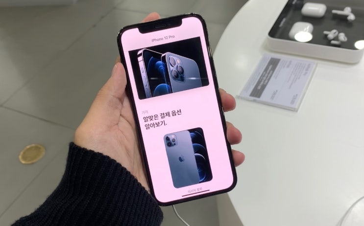  [정보] 아이폰12 구매하신 분들은 벚꽃 에디션 꼭 확인하세요!