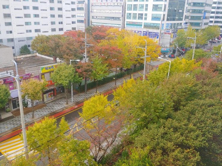  2020년11월01일 일요일 - 영화 담보, 나를 구하지 마세요
