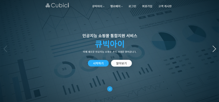  인공지능 쇼핑몰 통합지원 큐빅아이