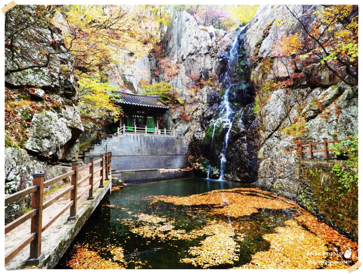  단풍지는계절 양산 홍룡폭포의 가을향기를 맡으며 산책~