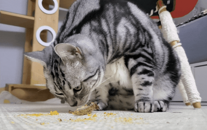펫프렌즈 고양이열빙어 간식 촉촉트릿