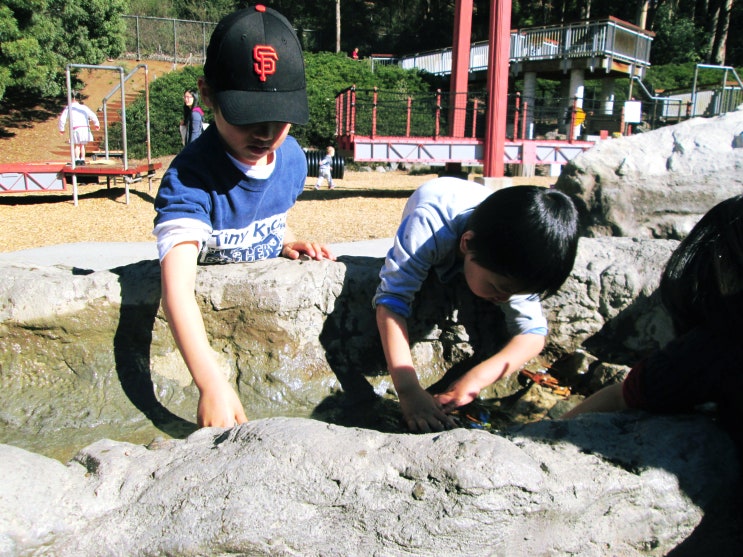  San Fransicso 주변 여행 11 | 어린아이들의 무한 상상 놀이터 Bay Discovery Museum