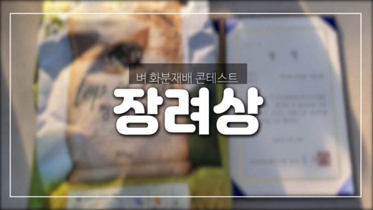 벼 화분재배  콘테스트 장려상 수상 - 푸르메스마트팜 서울농원(88)