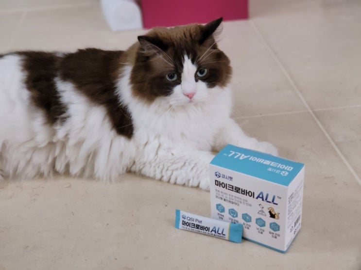  고양이 유산균 영양제 추천 마이크로바이올로 올인원 케어