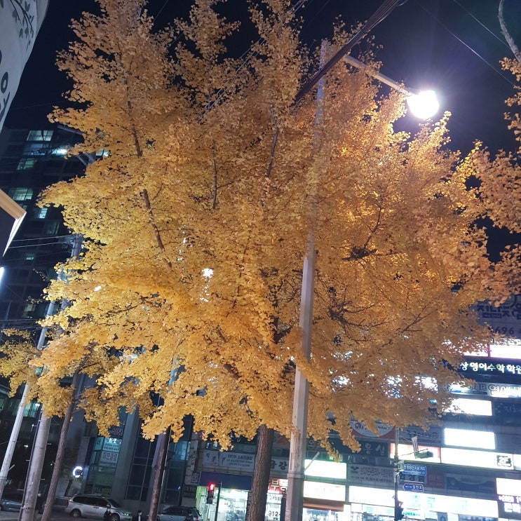  어제와 다른 오늘