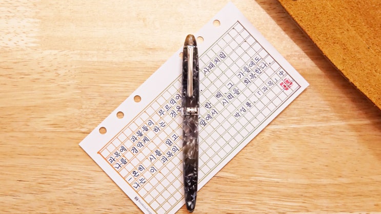  시력회복 (명시 필사, 원고지 정자체 가로쓰기, 펜브스 308-年糕 (Niangao) F닙)
