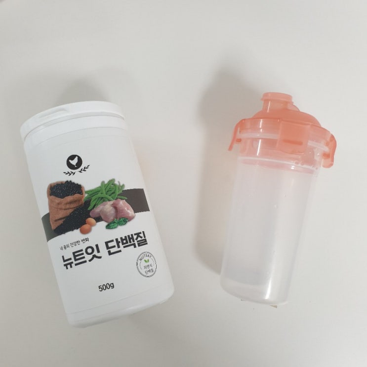  단백질쉐이크, 뉴트잇단백질, 미숫가루 맛, 내돈내산, 단백질쉐이크추천