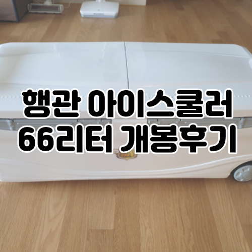 낚시용 대장쿨러 아이스박스 행관6600RX구매후기 : 쿨러, 66리터, 추천