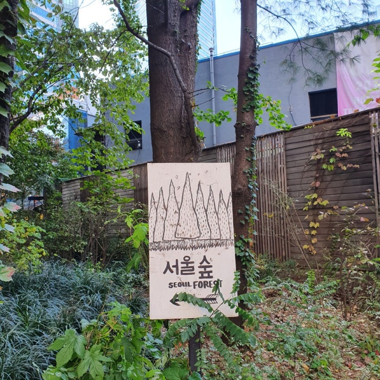  [서울숲] 따릉이 타고 서울숲 놀러 가기 :)