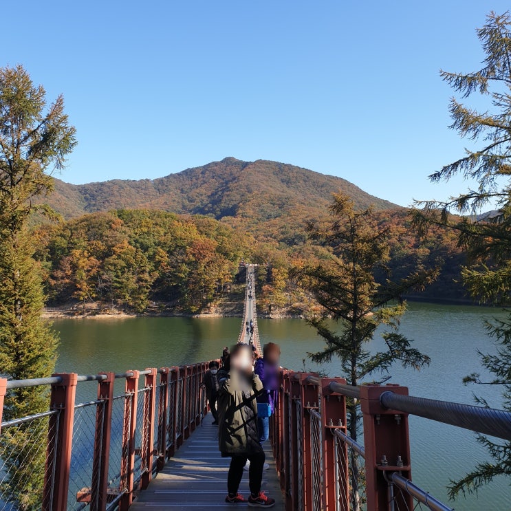  서울근교 마장호수 출렁다리 가을당일여행추천