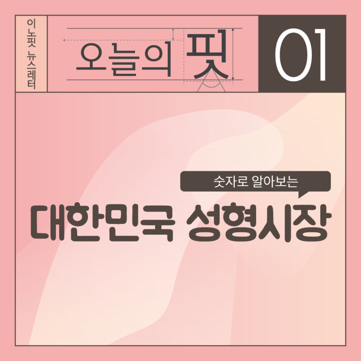  '숫자로 보는' 대한민국 성형시장