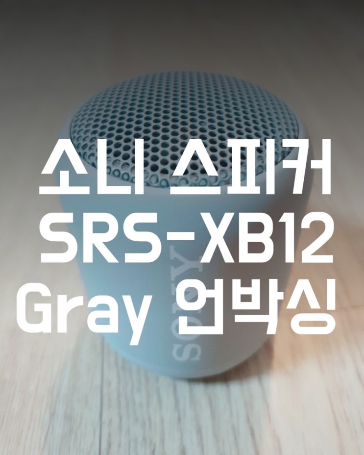 소니 휴대용 블루투스 스피커 SONY SRS-XB12 그레이