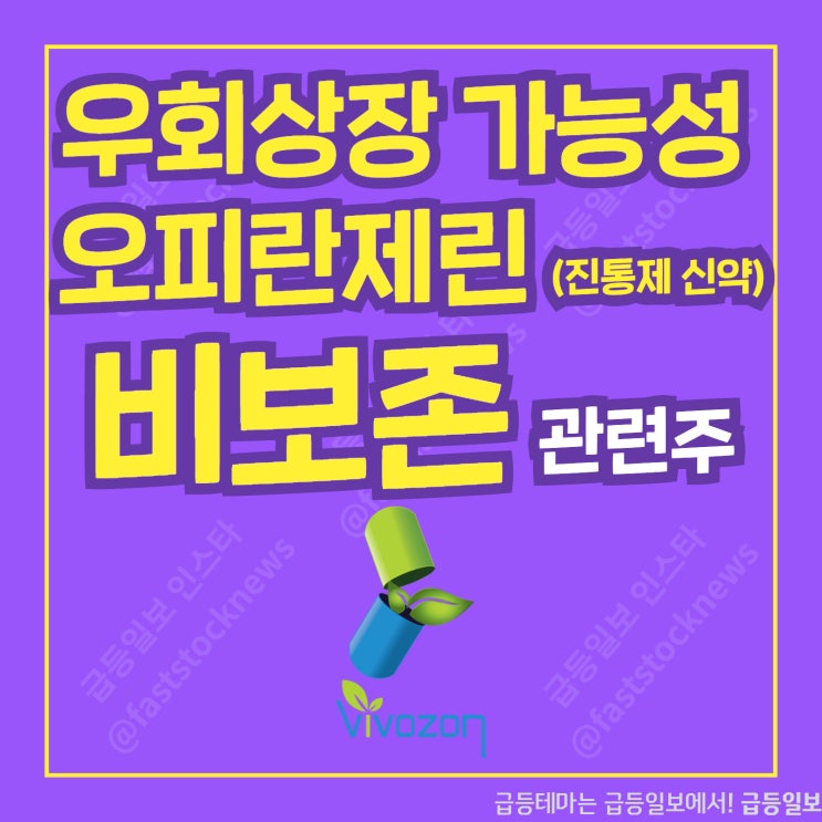 비보존 관련주 by급등일보