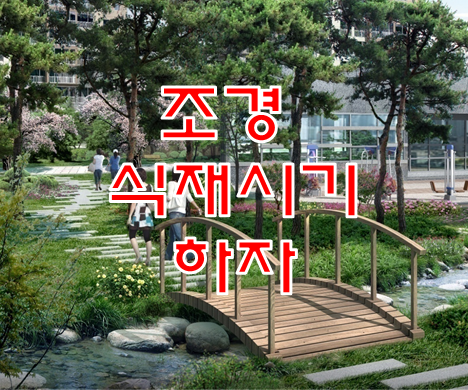 나무심기 조경 식재 시기 및 하자 나무심기 조경 식재 시기 및 하자