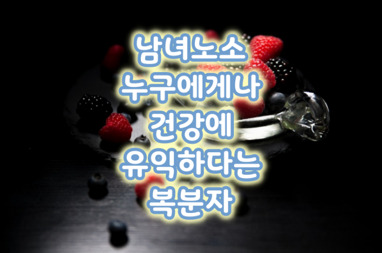  남녀노소 누구에게나 건강에 유익하다는 복분자
