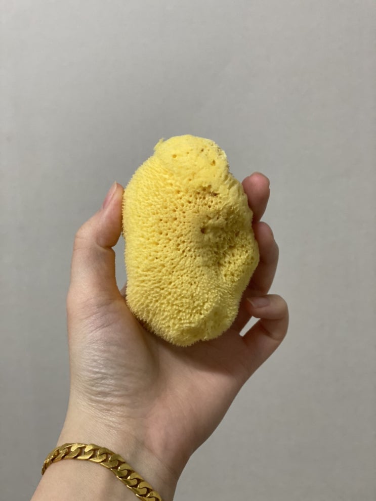  실크파인FD7 벨리니천연해면 사용후기