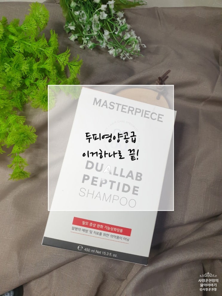  두피영양공급 랩앤스토리 35도씨 듀얼랩 펩타이드 샴푸로 하기