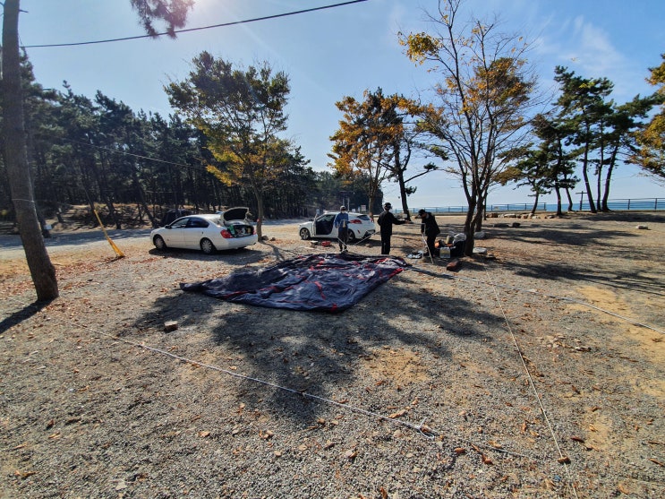  해루질 갯벌놀이 낚시가 가능했던 2박3일 태안에 위치한 어은돌송림캠핑장 후기