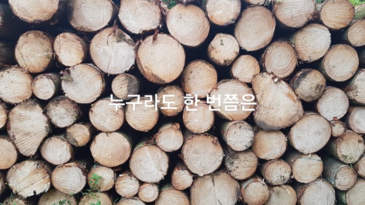  [단편연재소설] 누구라도 한 번쯤은 2