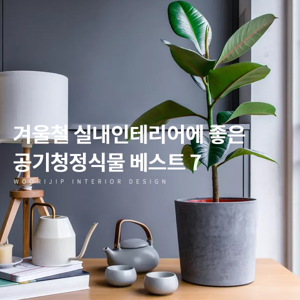  겨울철엔 어떤 식물로 실내 인테리어를? 잘 자라는 공기청정식물 베스트 7 추천