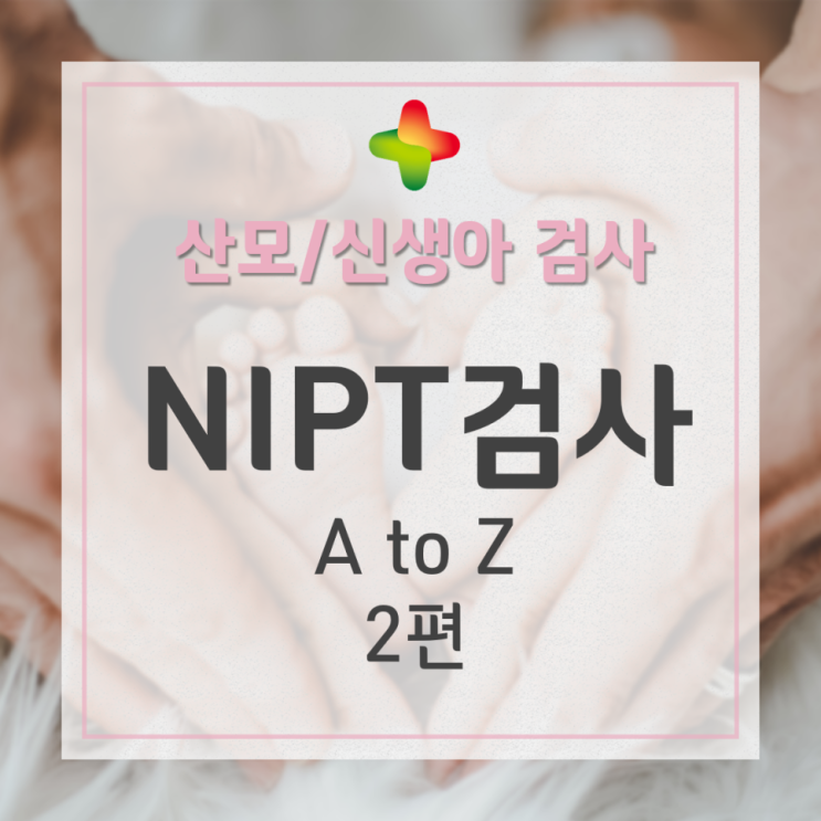 NIPT 검사(니프트검사) 2편: 혈중 태아분획이란 무엇인가 (NIPT 원리/태아 DNA 분율/fetal fraction)