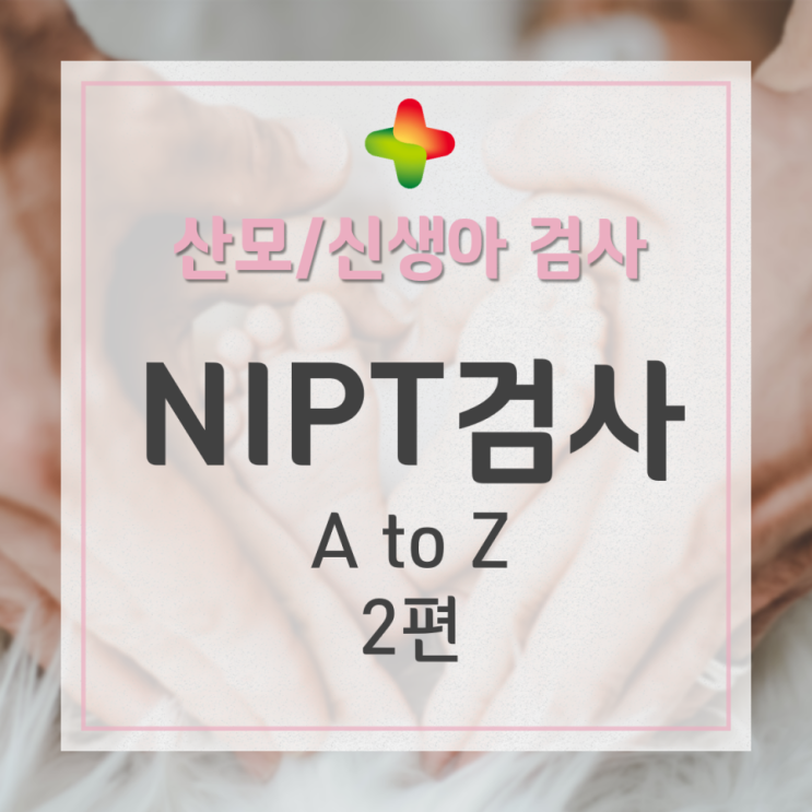  NIPT 검사(니프트검사) 2편: 혈중 태아분획이란 무엇인가 (NIPT 원리/태아 DNA 분율/fetal fraction)
