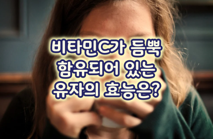  비타민C가 듬뿍 함유되어 있는 유자의 효능은?