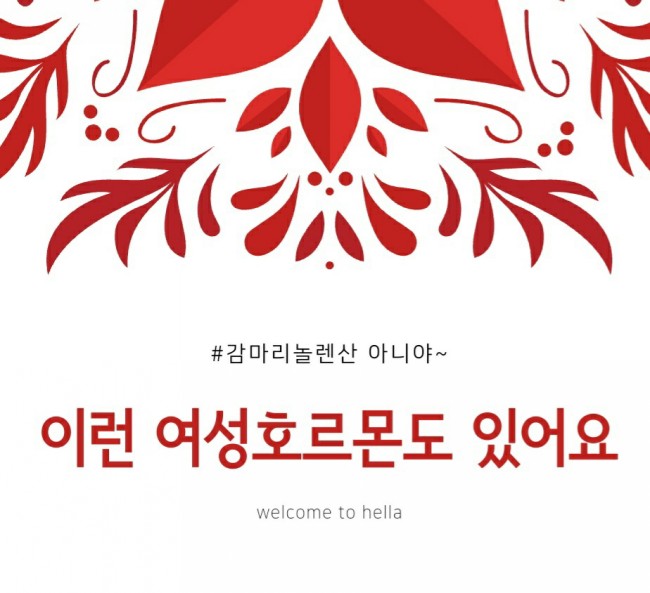  여성 호르몬에도 종류가 있어요~(feat. 생리전증후군)