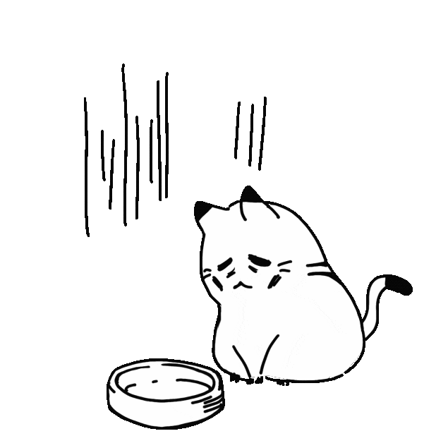  유튜브 현황^^