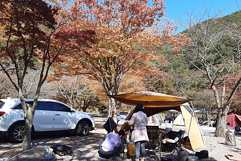 파스텔야영장 이미지
