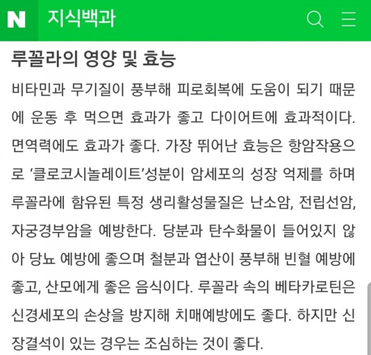 꼴라가 이만큼 자랐어요!(feat. 루꼴라 파종 후 성장 루꼴라의 일생)