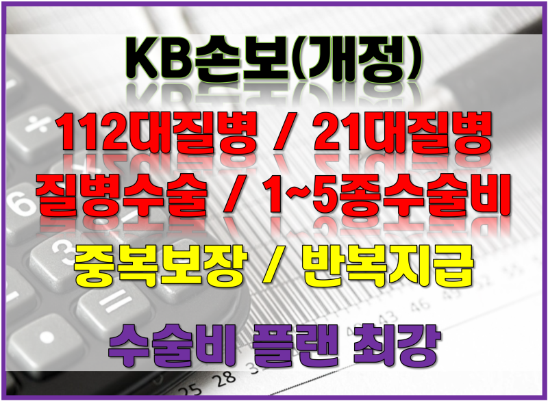 KB 112대,21대,1~5종,각종 수술비로 다빈도질환(부정맥,신부전,담석증,무릎관절염,갑상선결절,....
