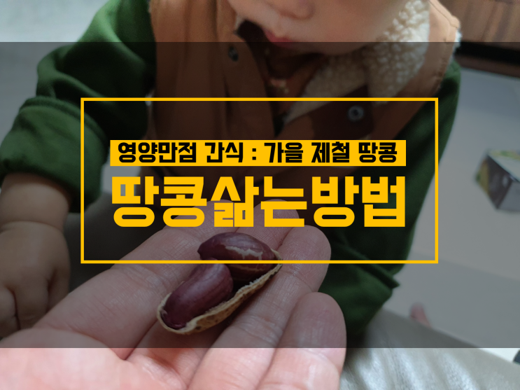  여러가지 땅콩 삶는 법 : 땅콩 효능, 어린이 영양 간식으로 좋아요