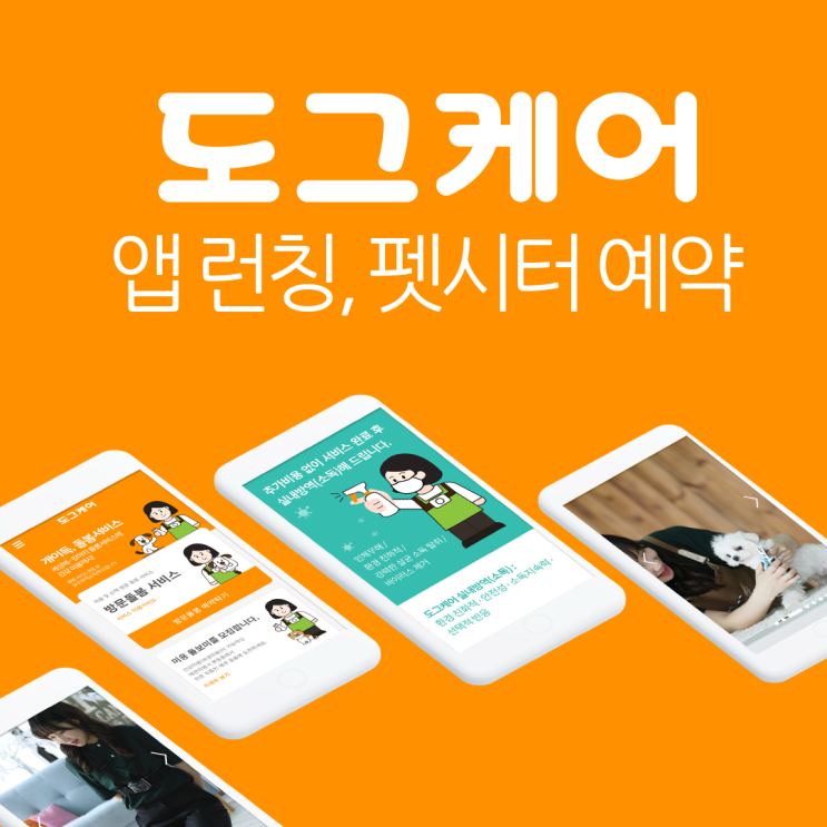  도그케어 앱 런칭, 펫시터 예약