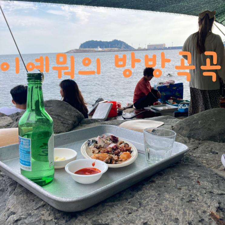  [1박 2일 제주도 여행] 제주도 1박2일 서귀포 여행 (feat. 형제)