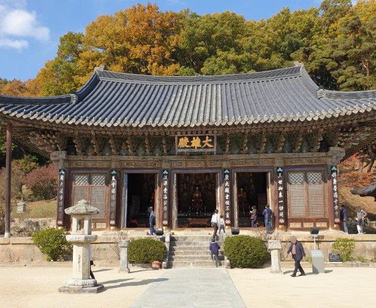  가을 단풍이 예쁘게 자리 잡은 김천 직지사 가족 나들이 (비로전 동자승을 찾아보세요!)