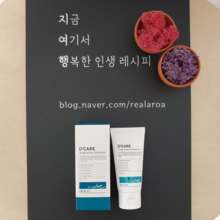  두피케어 전문브랜드 닥터스칼프에서 만든 스트레스 받은 두피에 좋은 디케어 스칼프 액티브 샴푸