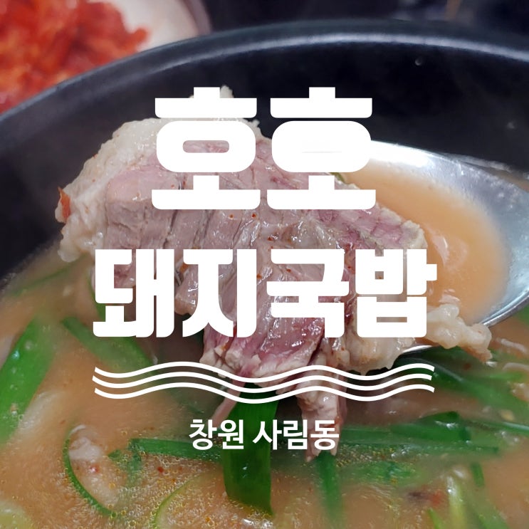 창원 사림동 경상남도청 국밥 맛집 호호돼지국밥