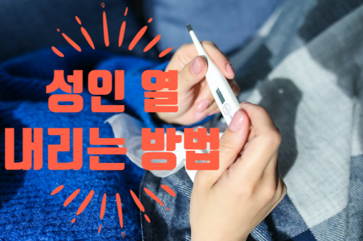  성인 열 내리는법