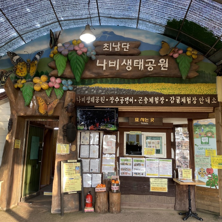  제주도 이색 커플 데이트 최남단 체험 감귤농장