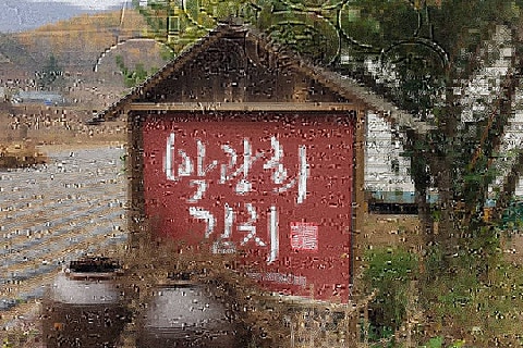박광희김치 이미지