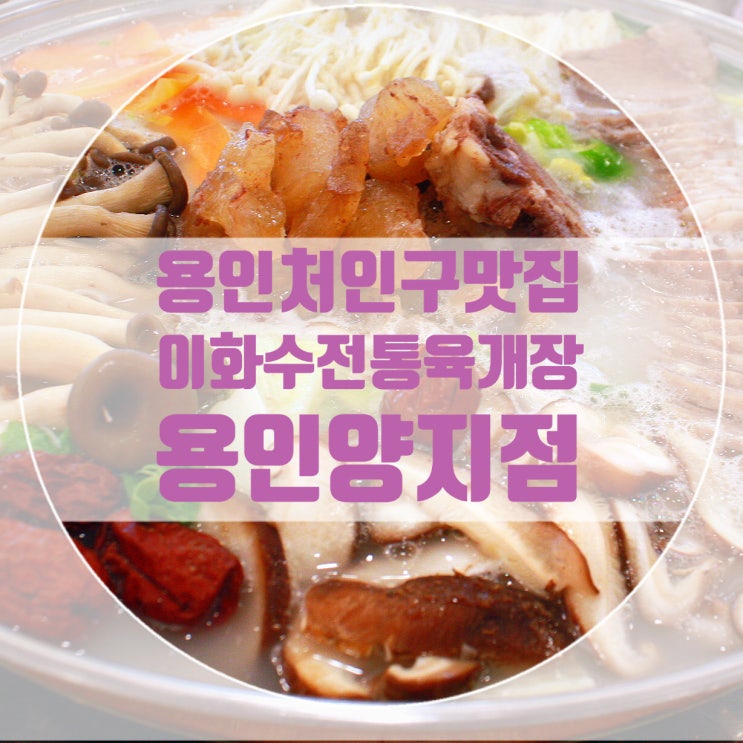 용인양지맛집 양지파인리조트맛집 이화수전통육개장 스키도 타고 몸보신도 하고 용인처인구맛집 인정