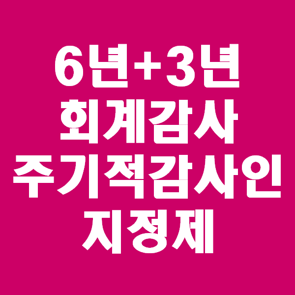  <회계팀 하는일> 주기적 감사인 지정제 (ft. 채이배전의원)