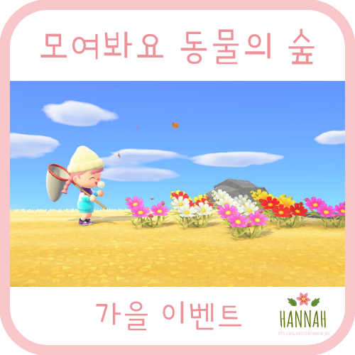 모동숲 가을: 도토리, 솔방울, 버섯, 단풍 얻는 법 모동숲 가을: 도토리, 솔방울, 버섯, 단풍 얻는 법