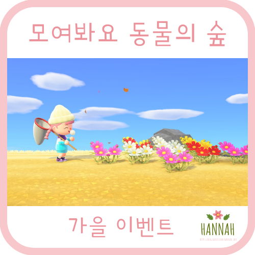 모동숲 가을: 도토리, 솔방울, 버섯, 단풍 얻는 법