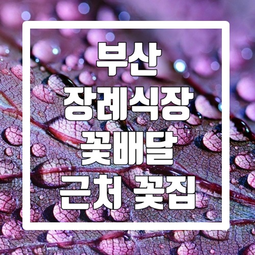  부산장례식장 화환 꽃배달 근처 꽃집