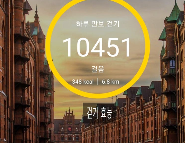  하루 만보걷기 19일차  걷기효능