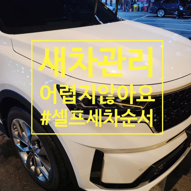 셀프세차 순서 이대로만 하세요
