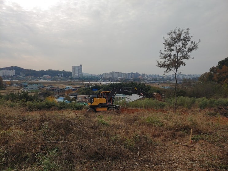 오늘의 산정솔빛마을 20년11월05일 오늘의 산정솔빛마을 20년11월05일